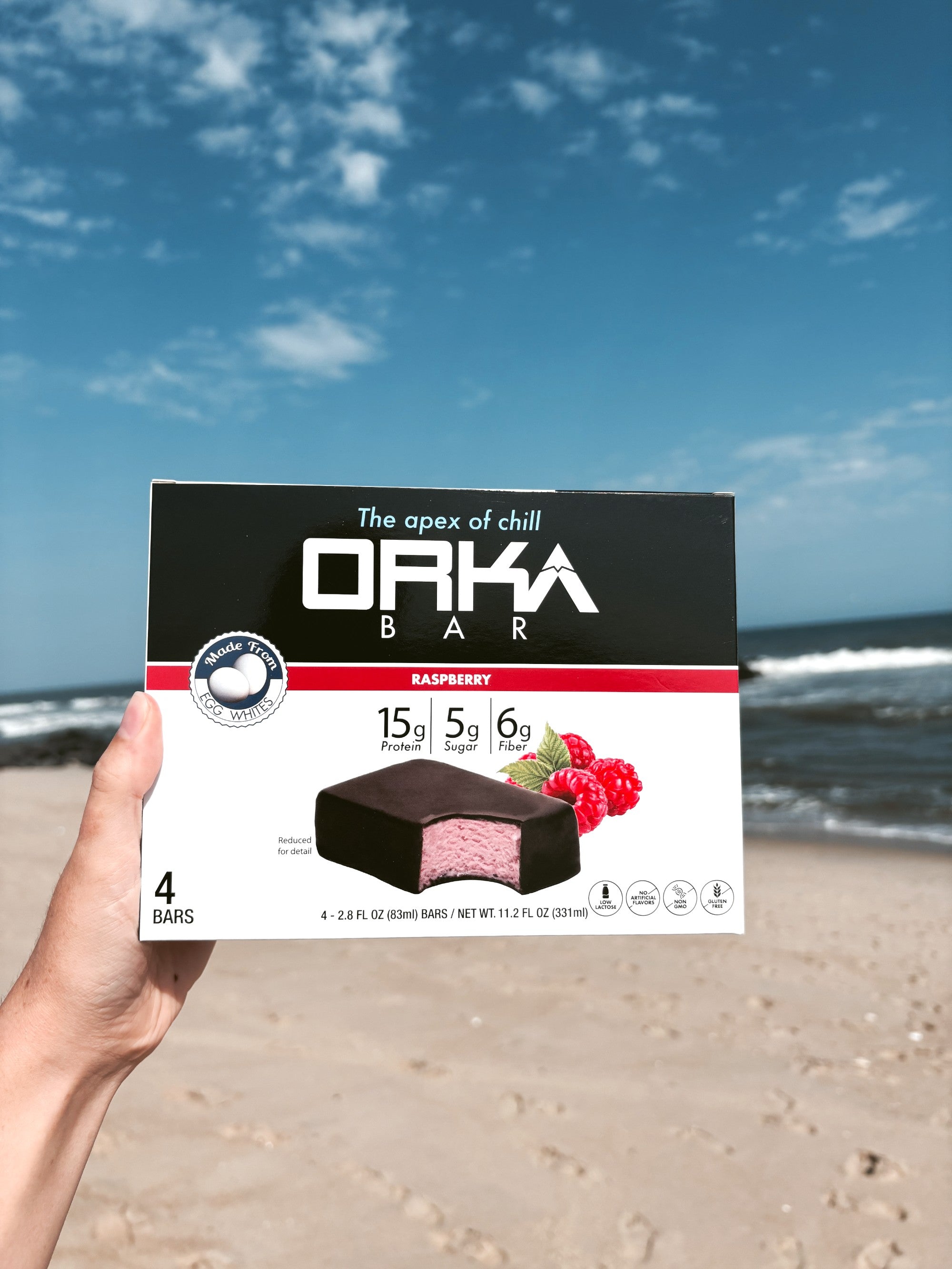 ORKA Bar | Raspberry Protein Ice Cream Bar – Orka Bar